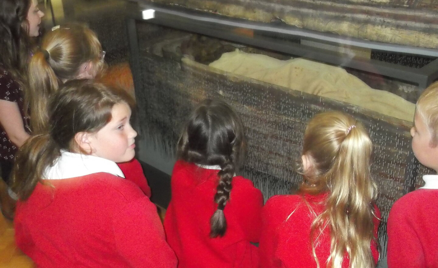 Image of Manchester Museum